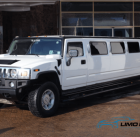 Limousine Service