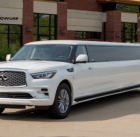 airport limousine service